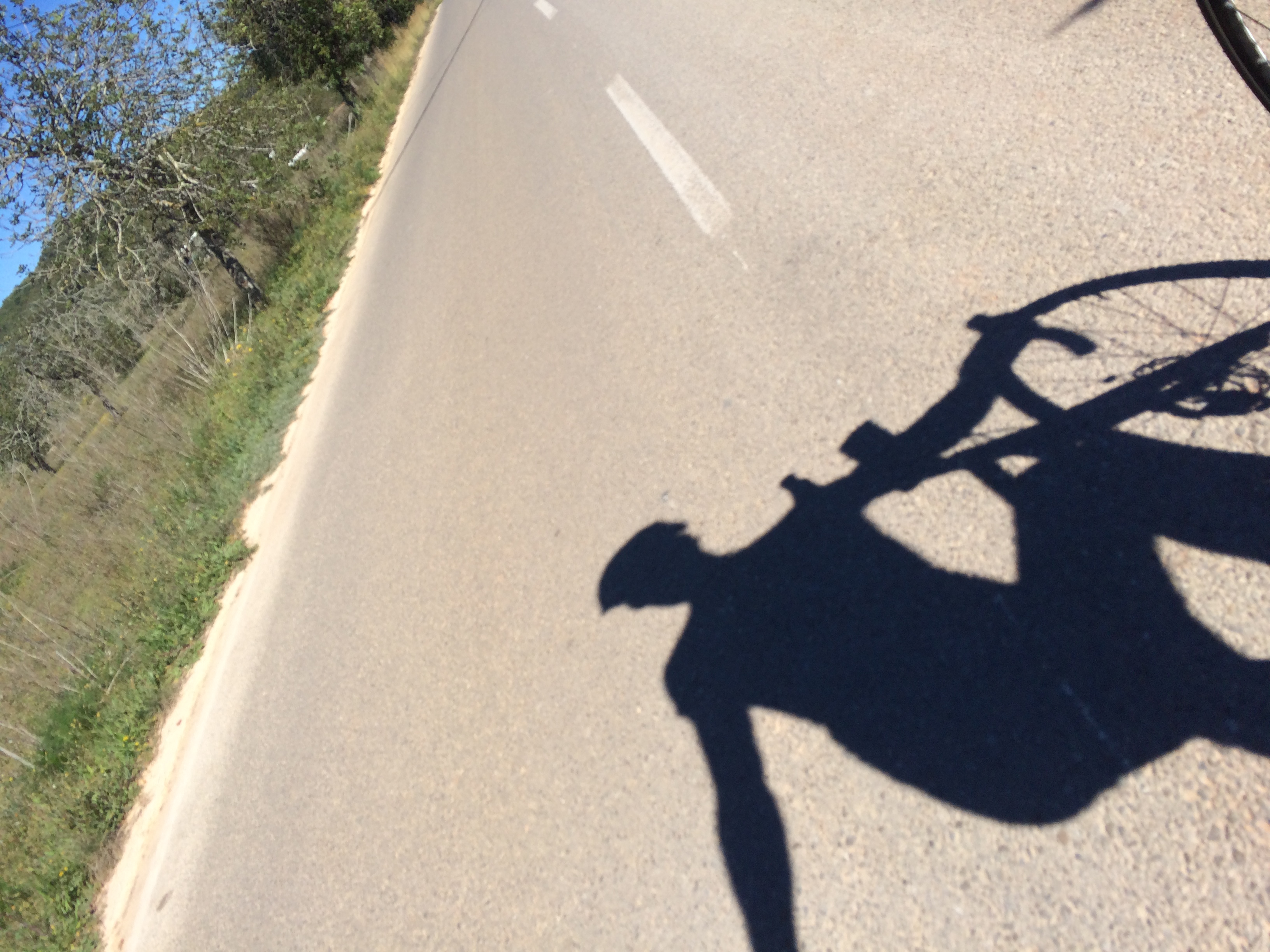 shadow